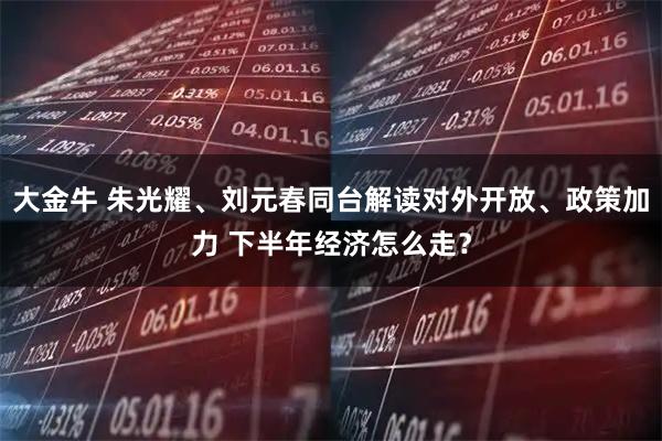 大金牛 朱光耀、刘元春同台解读对外开放、政策加力 下半年经济怎么走？