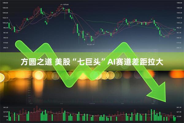 方圆之道 美股“七巨头”AI赛道差距拉大