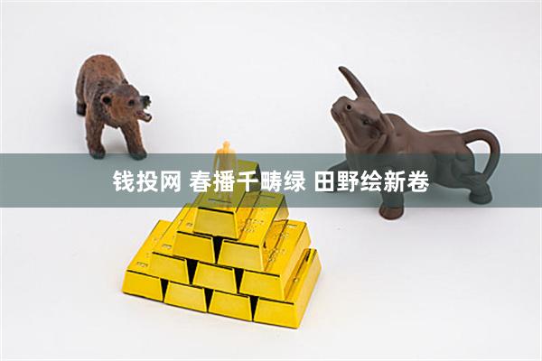 钱投网 春播千畴绿 田野绘新卷
